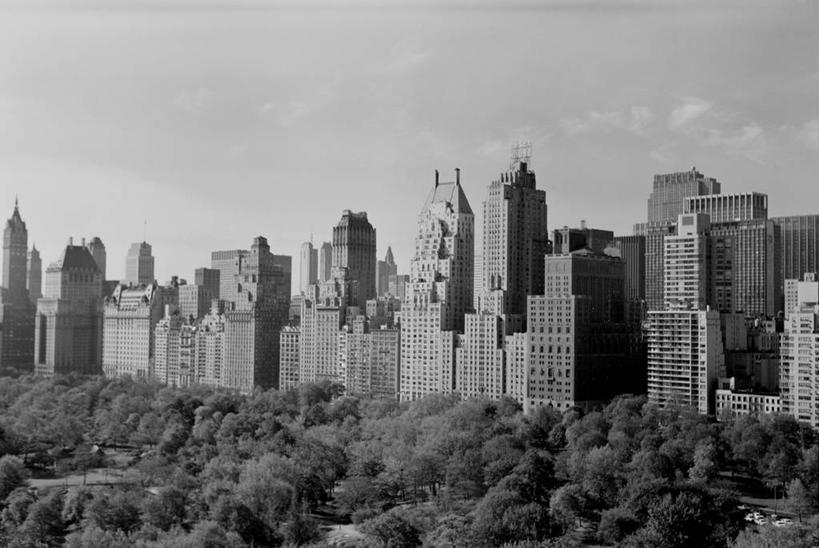 无人,公园,横图,俯视,黑白,室外,白天,天际线,植物,建筑,摩天大楼,纽约,美国,树,树木,绿色,自然,摄影,生长,成长,市区,中央公园,高角度拍摄,59街