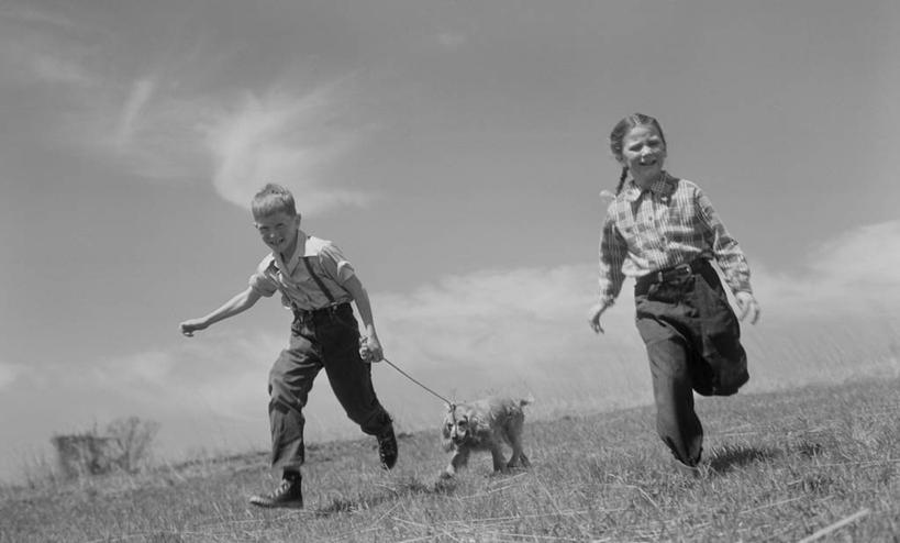 西方人,儿童,两个人,跑,笑,横图,黑白,室外,白天,正面,旅游,度假,快乐,幸福,纯洁,美景,宠物,狗,日光,欧洲,美国,欧洲人,地平线,景观,田地,拿着,休闲装,娱乐,小孩,自然,享受,休闲,景色,放松,可爱,童年,童趣,摄影,宁静,自然风光,童真,狗链,烂漫,无邪,英国小猎犬,无忧无虑,天真,男孩,女孩,白种人,孩子