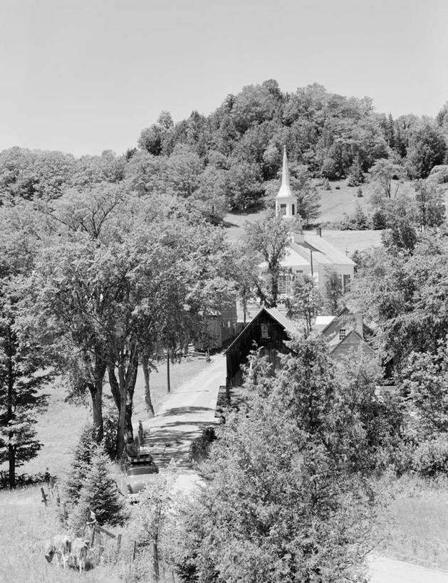 无人,农场,教堂,竖图,俯视,黑白,室外,白天,牧场,美景,山,建筑,路,美国,房屋,景观,乡村,树,自然,动物,景色,摄影,牲畜,宁静,北美,北美洲,自然风光,美洲,小牛,佛蒙特州,佛蒙特,绿岭之州,北亚美利加洲,亚美利加洲,母牛,农舍,高角度拍摄,美利坚合众国,家牛