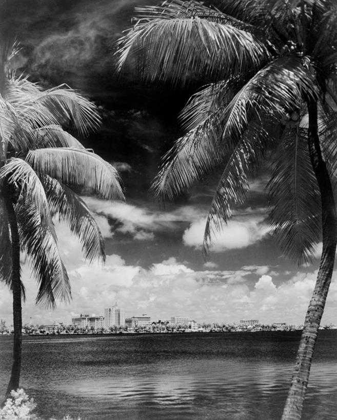 无人,竖图,黑白,室外,白天,美景,水,天际线,城市,建筑,棕榈树,美国,波纹,景观,自然,景色,摄影,宁静,北美,北美洲,自然风光,美洲,佛罗里达,佛罗里达州,佛州,阳光州,北亚美利加洲,亚美利加洲,美利坚合众国,棕榈滩