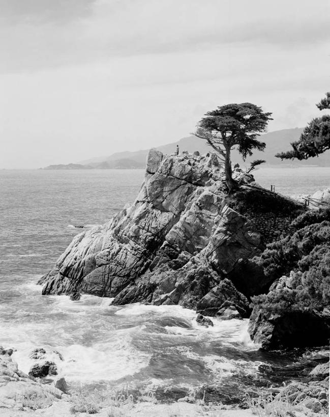 无人,竖图,黑白,室外,白天,海浪,海洋,城市,松树,美国,粗糙,溅,地形,海岸线,悬崖,风景,摄影,宁静,毛糙,北美,北美洲,加利福尼亚,美洲,坚持,加州,洛杉矶,加利福尼亚州,金州,黄金州,北亚美利加洲,亚美利加洲,天使之城,蒙市,蒙特利公园市,岩石,旅行,美利坚合众国,粗拙