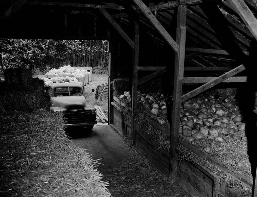 无人,农场,横图,黑白,室内,白天,农业,卡车,美国,门口,饮食,容器,箱子,工具箱,运输,摄影,储藏,堆,储存,贮存
