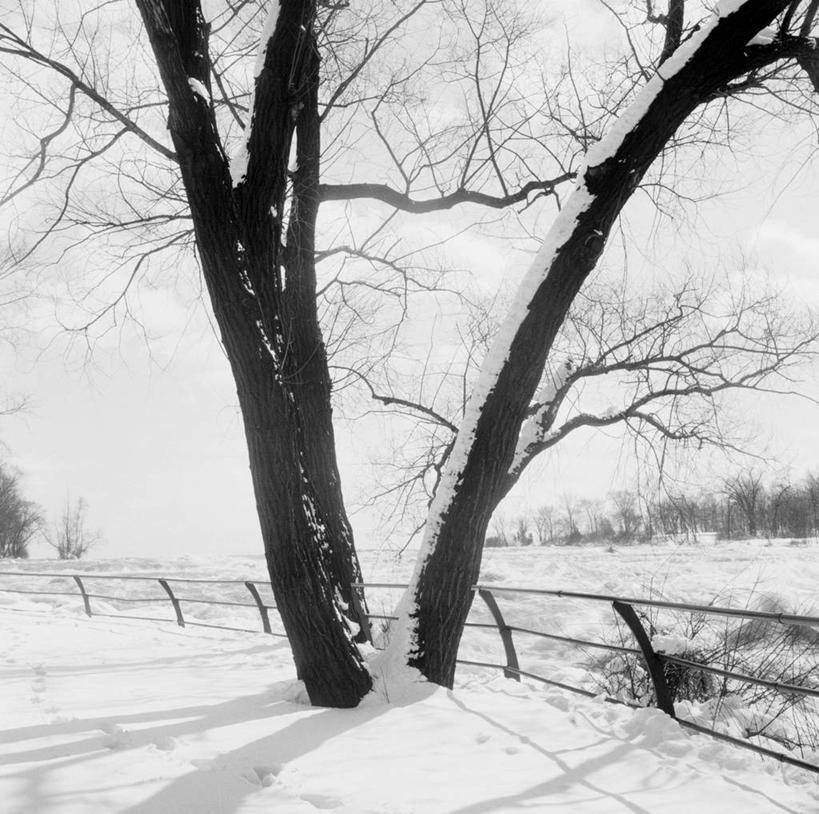 无人,横图,方图,黑白,室外,白天,雪,美国,地形,篱笆,冬天,树,自然,摄影,宁静,尼亚加拉河