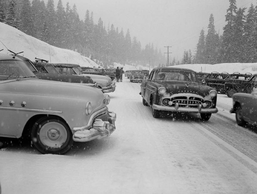 横图,黑白,室外,白天,雪,城市,美国,一排,整齐,路边,冬天,下雪,交通,天气,树,排列,寒冷,运输,摄影,北美,北美洲,队列,加利福尼亚,美洲,问题,佛罗里达,加州,佛罗里达州,加利福尼亚州,杰克逊维尔,佛州,阳光州,金州,黄金州,北亚美利加洲,亚美利加洲,圣莫尼卡,10号州际公路,美利坚合众国