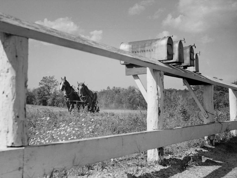 无人,农场,横图,黑白,室外,白天,农业,马,美国,篱笆,田地,邮筒,动物,两只,家畜,摄影,牲畜