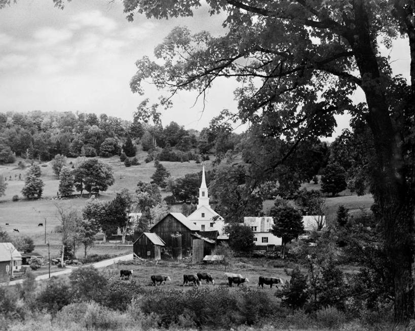 无人,横图,黑白,室外,白天,美景,美国,地形,景观,田地,乡村,城镇,树,自然,景色,摄影,牲畜,北美,北美洲,自然风光,美洲,佛蒙特州,佛蒙特,绿岭之州,北亚美利加洲,亚美利加洲,母牛,美利坚合众国,家牛,白河