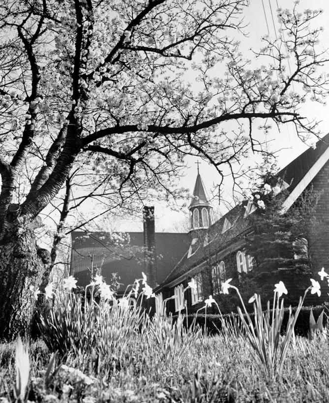 无人,竖图,黑白,室外,白天,仰视,建筑,水仙花,纽约,美国,古典,历史,花,花朵,摄影,宁静,部分,长岛,纽约州,低角度拍摄