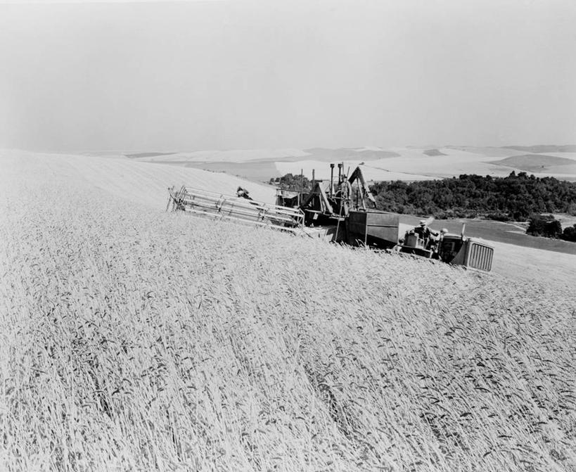 无人,农场,横图,俯视,黑白,室外,白天,旅游,度假,农业,农作物,小麦,机器,美景,山,美国,地形,景观,田地,古典,娱乐,树,风景,自然,享受,休闲,机械,景色,放松,摄影,收获,自然风光,华盛顿州,高角度拍摄,农业机械