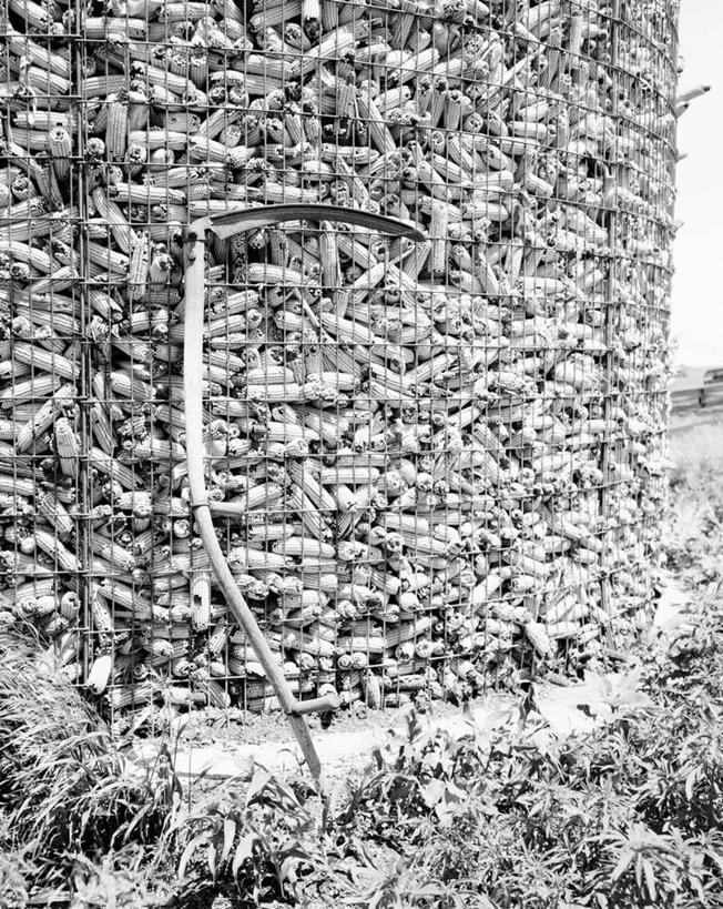 无人,竖图,黑白,室外,白天,农业,农作物,美国,丰富,谷类,容器,箱子,工具箱,摄影,收获,储藏,储存,地窖,贮存,爱荷华