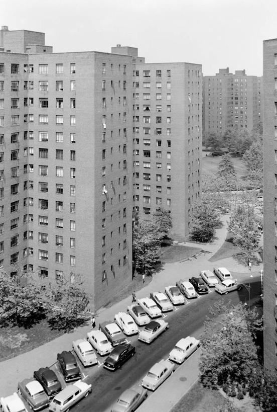 无人,竖图,俯视,黑白,室外,白天,建筑,街道,汽车,纽约,美国,公寓,古典,摄影,灌木,停止,暂停,停滞,纽约州,高角度拍摄,旅行,房屋建设