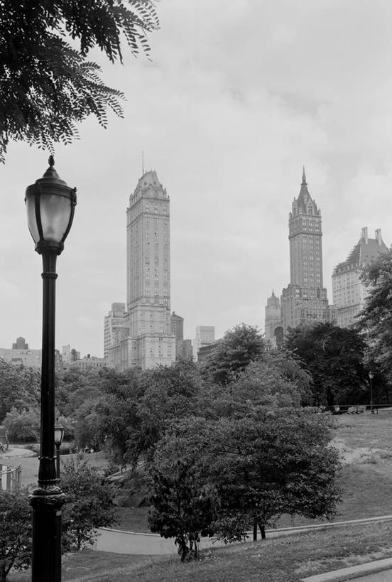 无人,公园,竖图,黑白,室外,白天,天际线,建筑,街道,纽约,美国,灯笼,枝,古典,树,摄影,第五大道,中央公园,纽约州