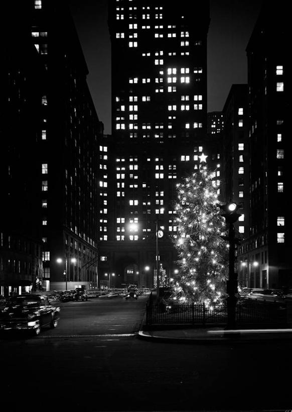 无人,竖图,黑白,室外,夜晚,城市,建筑,纽约,美国,圣诞节,节日,庆祝,装饰,曼哈顿,圣诞树,文化,装饰品,树,装饰物,庆典,摄影,纪念,华丽,修饰,点缀,饰物,衬托,美观,雅致,雅观,公园大道