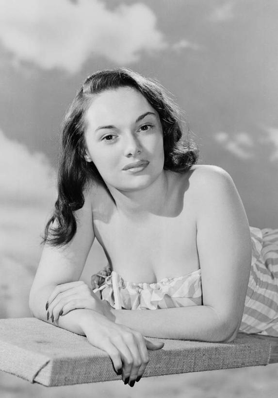 无人,横图,竖图,黑白,白色背景,智慧,书法,历史,摄影,轮廓,基督教,经文,影棚拍摄