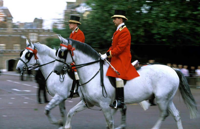 成年人,两个人,横图,室外,白天,侧面,运动模糊,制服,马,英国,骑马,首都,英格兰,红色,动物,两只,家畜,摄影,鞭子,英国文化,茄克,男人,彩图