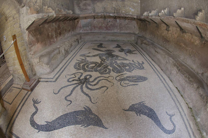 无人,横图,插画,室内,数码,科技,地板,海豚,意大利,阴影,花纹,神话,网络,图案,高光,几何,计算机图形,合成,图画,古罗马,画,小天使,电脑合成图,数码合成图,合成图,漫画,坎帕尼亚,那不勒斯湾,写实,具体,具象,古代文明,美术工艺,赫库兰尼姆,彩图,公共浴室