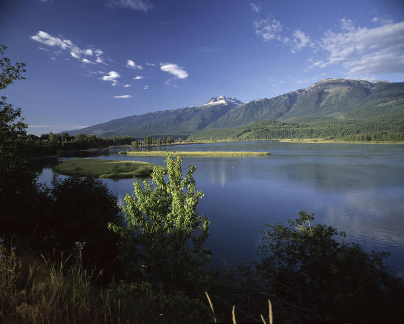 无人,横图,室外,白天,旅游,度假,河流,美景,山,加拿大,反射,地平线,景观,山顶,云,辽阔,地面,娱乐,树,风景,天空,自然,享受,休闲,广阔,景色,放松,摄影,宁静,一望无际,北美,自然风光,延伸,哥伦比亚河,天地相交,无边无际,一马平川,大不列颠哥伦比亚,彩图