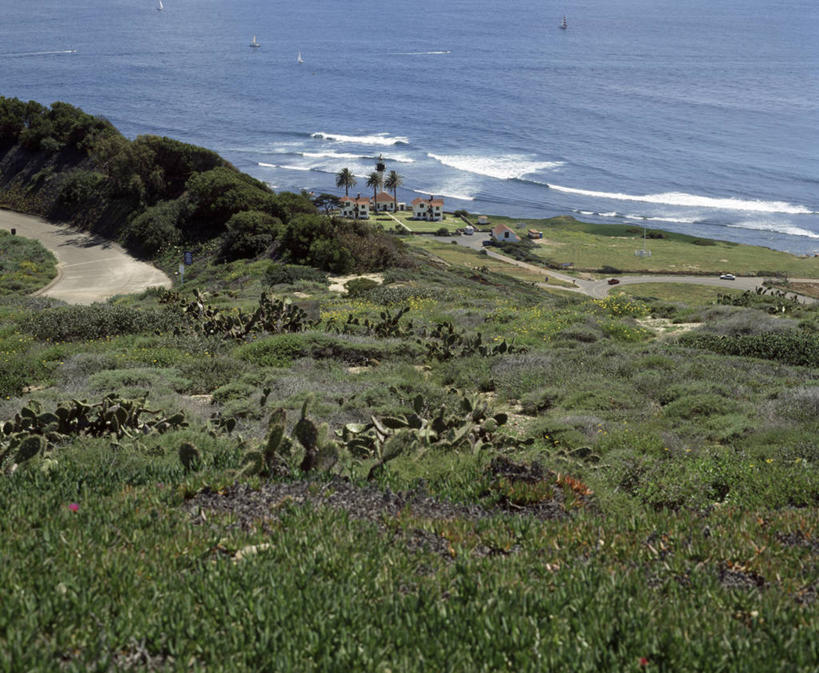无人,横图,俯视,室外,海洋,道路,路,仙人掌,美国,信息,地形,海岸线,灯塔,交通,方向,草,风景,波浪,摄影,引导,指引,灌木,宁静,加利福尼亚,圣地牙哥市,航标,彩图,高角度拍摄,洛马岬灯塔,导航