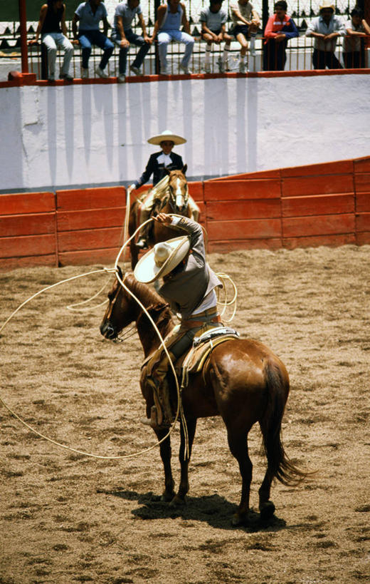 两个人,牛仔,竖图,室外,白天,锻炼,快乐,比赛,运动,竞争,马,帽子,墨西哥,表演,骑马,娱乐,体育场,动物,两只,休闲,摄影,体育运动,拉丁美洲,套索,墨西哥文化,技能,体育,彩图,传统服装,健身,马上枪术比赛