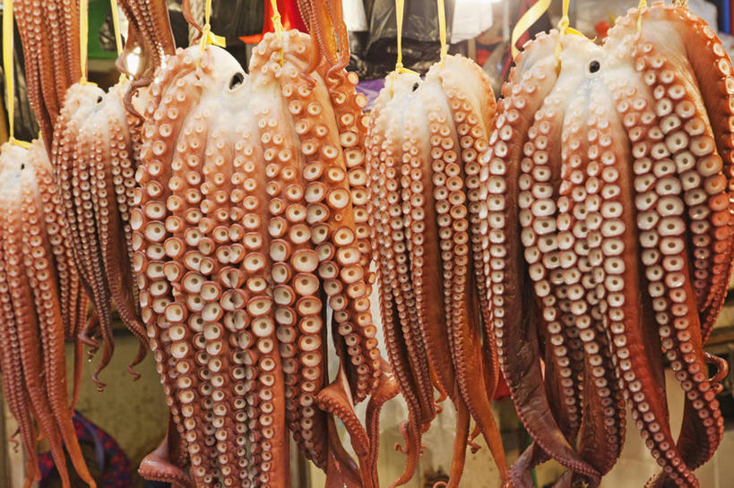 无人,横图,室外,特写,白天,烹饪,章鱼,韩国,吊挂,悬挂,触须,生食,料理,食品,韩式,挂,菜肴,美食,食物,吸盘,零售,摄影,佳肴,清新,韩国料理,韩国菜,韩式料理,健康食物,朝鲜半岛,海产,彩图,鱼市