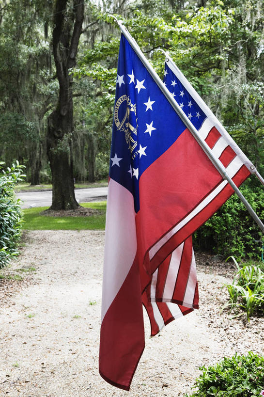 无人,公园,竖图,室外,特写,白天,骄傲,旗帜,国旗,美国,条纹,树,星形,美国国旗,摄影,身份,美国文化,爱国主义,彩图,美国州旗,查塔姆县
