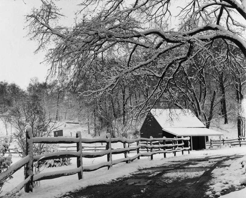 无人,农场,横图,黑白,室外,白天,农业,美景,雪,建筑,路,阴影,木栅栏,景观,篱笆,田地,冬天,天气,树,天空,自然,景色,寒冷,季节,摄影,自然风光,雪堆