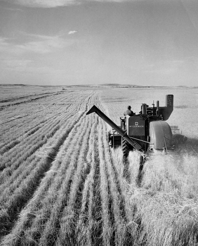 一个人,农民,农场,坐,竖图,黑白,室外,白天,农业,农作物,小麦,机器,美国,朦胧,模糊,地平线,田地,辽阔,地面,背面,天空,职业,广阔,机械,摄影,收获,一望无际,北美,延伸,驾车,农具,蒙大拿州,联合收割机,天地相交,耕具,无边无际,一马平川,农业机械