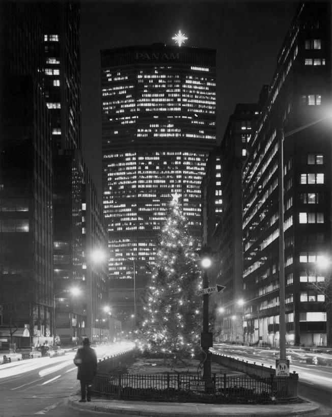 一个人,栏杆,竖图,黑白,室外,夜晚,城市,道路,建筑,街道,路,路灯,摩天大楼,指示牌,公路,纽约,美国,圣诞节,朦胧,模糊,庆祝,装饰,标志,文字,曼哈顿,圣诞树,交通,方向,标识,箭头,树,摄影,照亮,北美,指向,市区,纽约州,簇,马路,公园大道