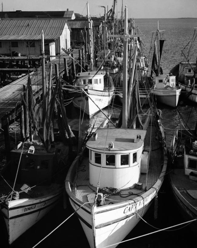 帆船,无人,码头,竖图,俯视,黑白,室外,白天,渔业,海洋,水,船,美国,停靠,绳子,交通工具,运输,摄影,停止,北美,停泊,载具,暂停,停滞,帆樯,桅竿,不伦瑞克,高角度拍摄,海港,格林县,帆柱,传动装置