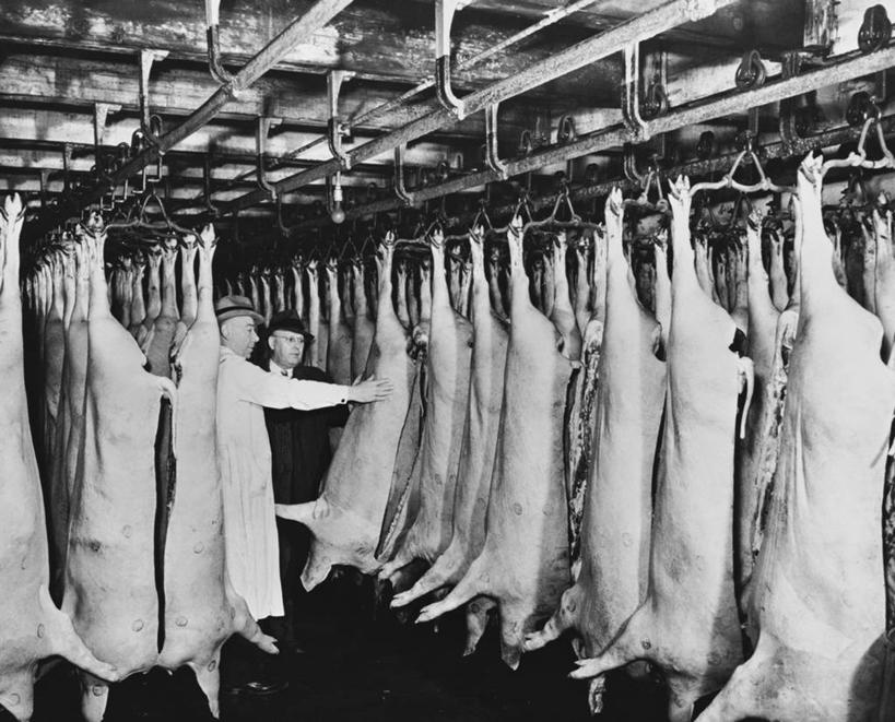 西方人,成年人,中年人,老年人,一个人,两个人,横图,黑白,室内,农业,猪,帽子,欧洲,美国,欧洲人,仅一个男性,仅一个人,仅一个中年男性,一排,一群,许多,吊挂,悬挂,丰富,检查,整齐,包装,肉,生食,食品,很多,挂,猪肉,饮食,排列,职业,摄影,吊钩,北美,队列,食品加工厂,伊利诺斯州,芝加哥市,屠宰场,老年男性,男人,男性,中年男性,白种人