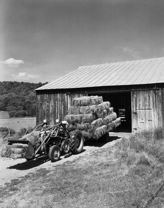 无人,竖图,黑白,室外,白天,农业,机器,美景,美国,景观,干草,车,草,树,天空,自然,容器,箱子,草垛,交通工具,机械,工具箱,景色,摄影,储藏,外壳,北美,北美洲,储存,自然风光,载具,拖拉机,美洲,露营,野营,农具,房车,佛蒙特州,佛蒙特,绿岭之州,宿营,北亚美利加洲,亚美利加洲,耕具,露营车,干草垛,美利坚合众国,贮存,农业机械,拖挂式房车