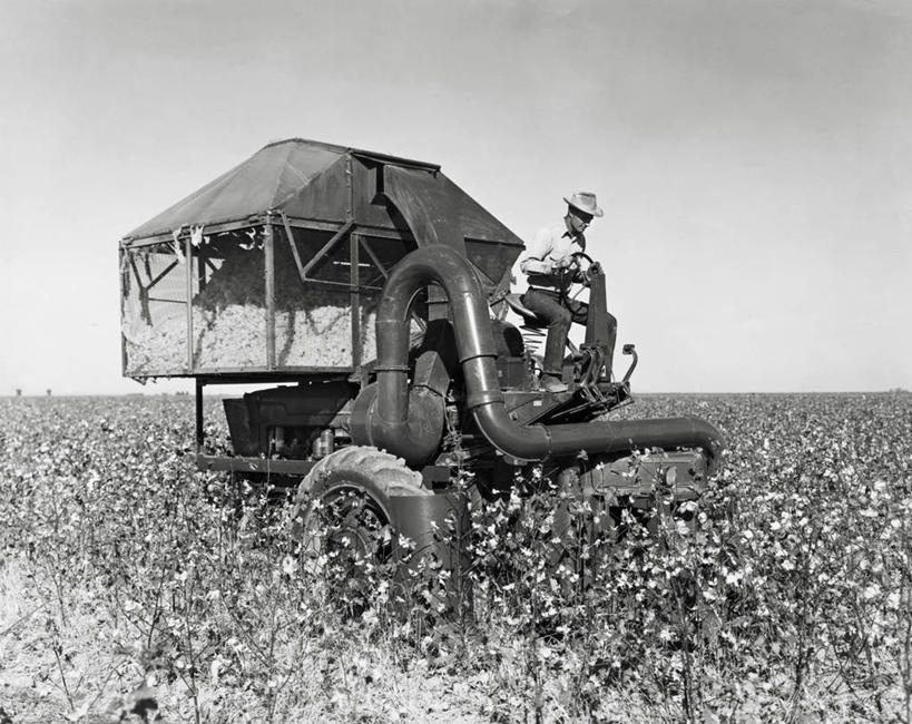 一个人,农民,坐,横图,室外,白天,农业,农作物,美景,植物,帽子,朦胧,模糊,地平线,景观,田地,辽阔,棉花,地面,自然,广阔,景色,摄影,生长,收获,一望无际,自然风光,延伸,种植园,万里无云,联合收割机,天地相交,无边无际,一马平川,彩图