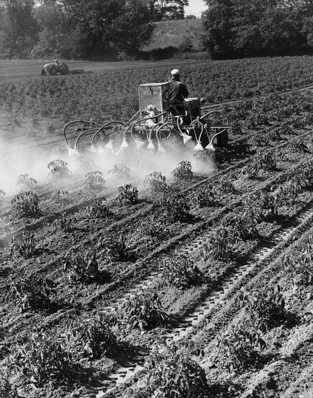 成年人,两个人,农民,竖图,黑白,室外,白天,农业,农作物,机器,美景,汽车,西红柿,朦胧,模糊,景观,田地,饮食,车,树,背面,自然,交通工具,机械,景色,摄影,生长,打扫,自然风光,载具,拖拉机,农具,耕具,农业机械