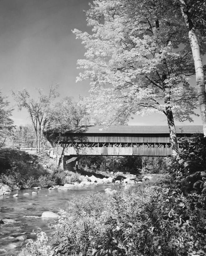 无人,竖图,黑白,室外,白天,水,植物,建筑,叶子,覆盖,流水,桥,联系,树,天空,小溪,自然,运输,摄影,流动,保护,廊桥
