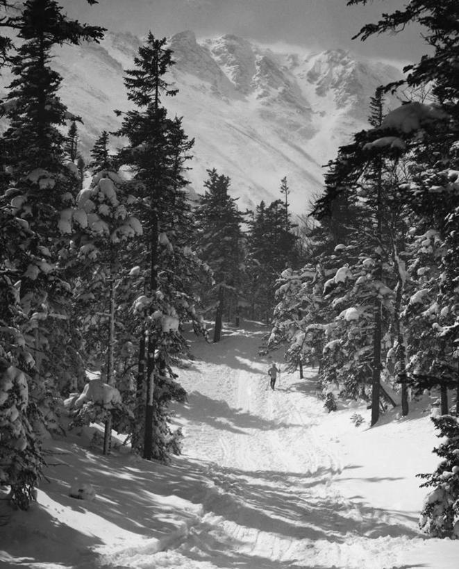 一个人,竖图,黑白,室外,白天,旅游,度假,运动,美景,山,雪,美国,朦胧,模糊,地形,景观,冬天,小路,娱乐,树,自然,享受,休闲,景色,放松,寒冷,季节,摄影,北美,北美洲,自然风光,美洲,新罕布什尔州,北亚美利加洲,亚美利加洲,新罕布什尔,新罕布夏州,花岗岩州,花冈岩之州,滑雪之州,新英格兰,滑雪运动,纽英仑,休闲活动,华盛顿山,美利坚合众国,阿巴拉契亚