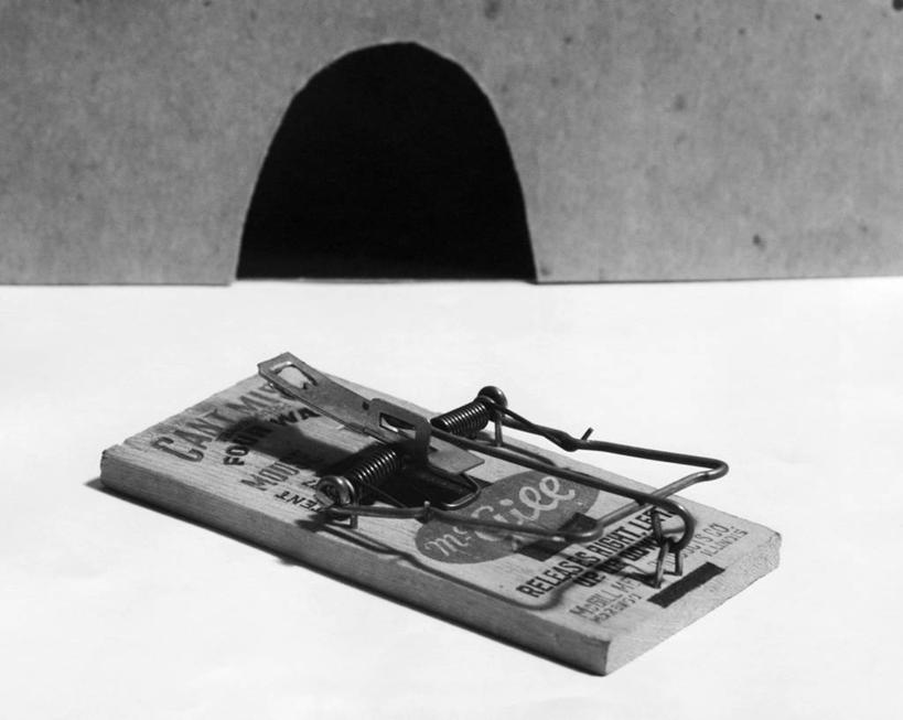 无人,横图,黑白,室内,特写,风险,洞,一个,动物,摄影,单个,捕鼠器,鼠,控制,主题,想法,危险