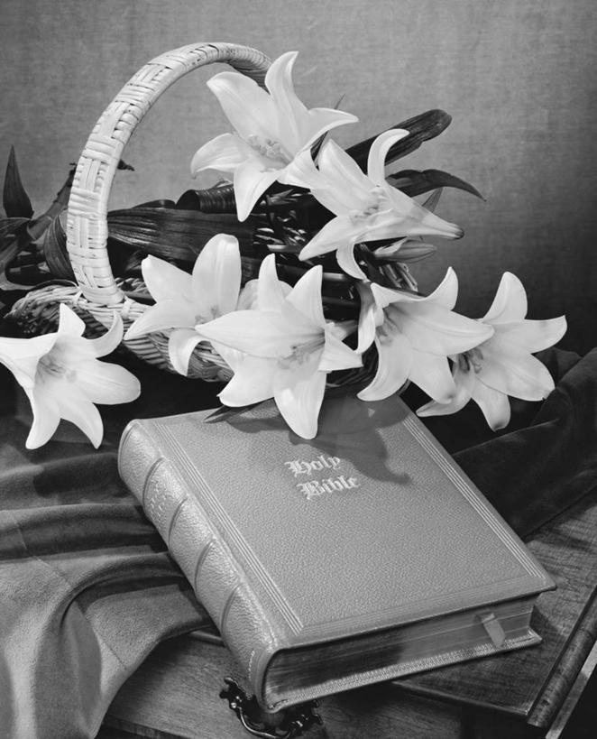 无人,竖图,黑白,室内,特写,静物,复活节,圣经,摄影,宗教,基督教,经书,灵性,书