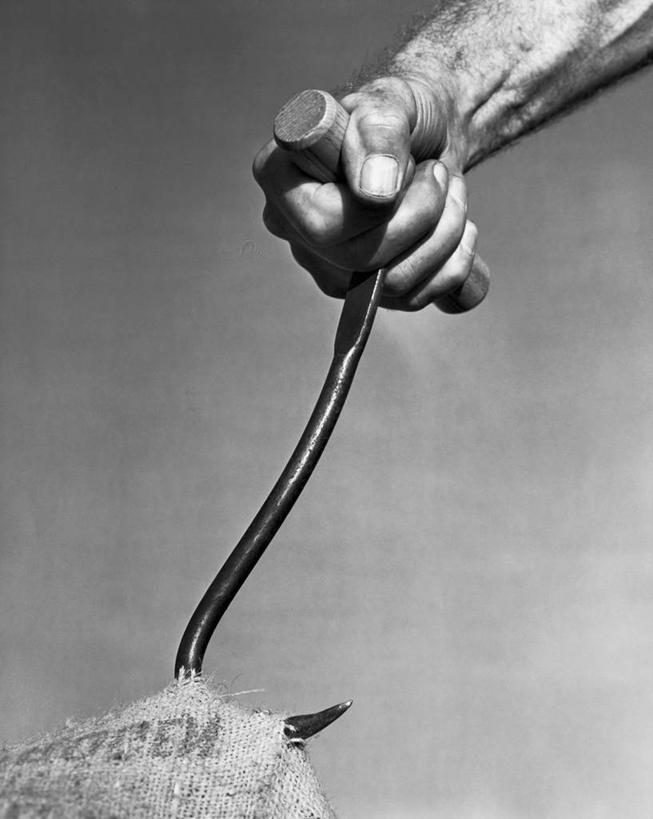 手,一个人,拉,竖图,黑白,室内,特写,力量,握紧,人体,摄影,部分,吊钩,想法
