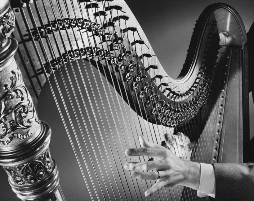 手,一个人,横图,俯视,黑白,室内,特写,表演,乐器,竖琴,弦乐器,音乐,人体,角度,摄影,部分,练习,技能,高角度拍摄