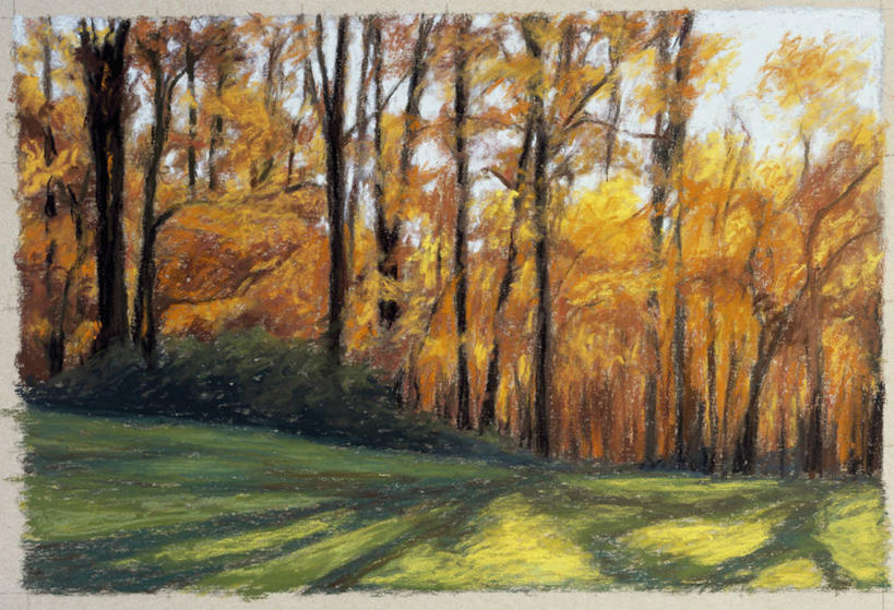 无人,横图,插画,室外,白天,绘画,数码,科技,森林,阴影,艺术,网络,地形,地面,高光,几何,计算机图形,古典,合成,图画,文化,蜡笔画,画,草,树干,风景,天空,自然,工艺品,品味,空地,生长,宁静,美术,电脑合成图,数码合成图,高雅,合成图,漫画,写实,具体,具象,美学,美术工艺,秋天,彩图