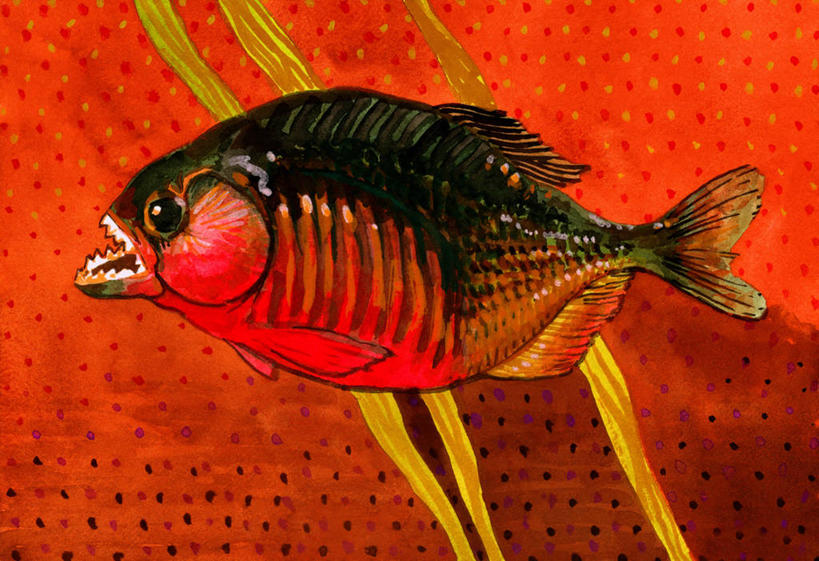 游泳,无人,横图,插画,侧面,绘画,数码,科技,水下,野生动物,亚马逊河,阴影,艺术,网络,高光,几何,计算机图形,古典,合成,图画,文化,鱼类,画,红色,自然,工艺品,品味,南美,颜料,美术,电脑合成图,数码合成图,高雅,合成图,漫画,写实,具体,具象,美学,水虎鱼,美术工艺,危险,彩图