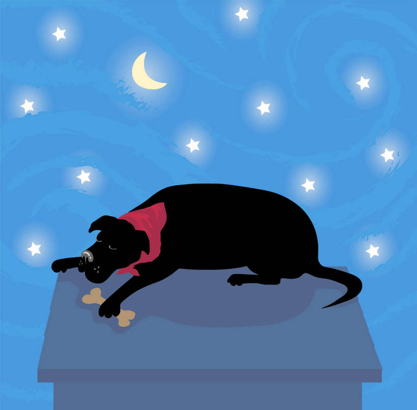 无人,横图,方图,插画,室外,夜晚,侧面,绘画,数码,科技,宠物,狗,阴影,艺术,网络,屋顶,月亮,星星,高光,几何,计算机图形,古典,合成,图画,文化,画,黑色,天空,围巾,工艺品,品味,疲倦,宁静,美术,电脑合成图,数码合成图,疲劳,高雅,疲惫,合成图,困乏,漫画,计算机制图,咀嚼骨,写实,具体,具象,疲乏,美学,委顿,疲困,疲顿,疲钝,倦怠,怠倦,美术工艺,睡觉,彩图