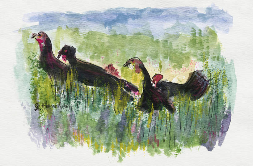 无人,横图,插画,室外,白天,绘画,数码,科技,植物,美国,澳大利亚,三只,阴影,艺术,网络,鸟类,地形,田地,高光,几何,计算机图形,古典,合成,图画,文化,画,绿色,天空,工艺品,品味,颜料,美术,电脑合成图,数码合成图,高雅,合成图,大洋洲,澳洲,漫画,感恩节,昆士兰州,南方大陆,乔治亚州,写实,具体,具象,美学,澳大利亚联邦,昆士兰,美术工艺,坎伯兰群岛,彩图