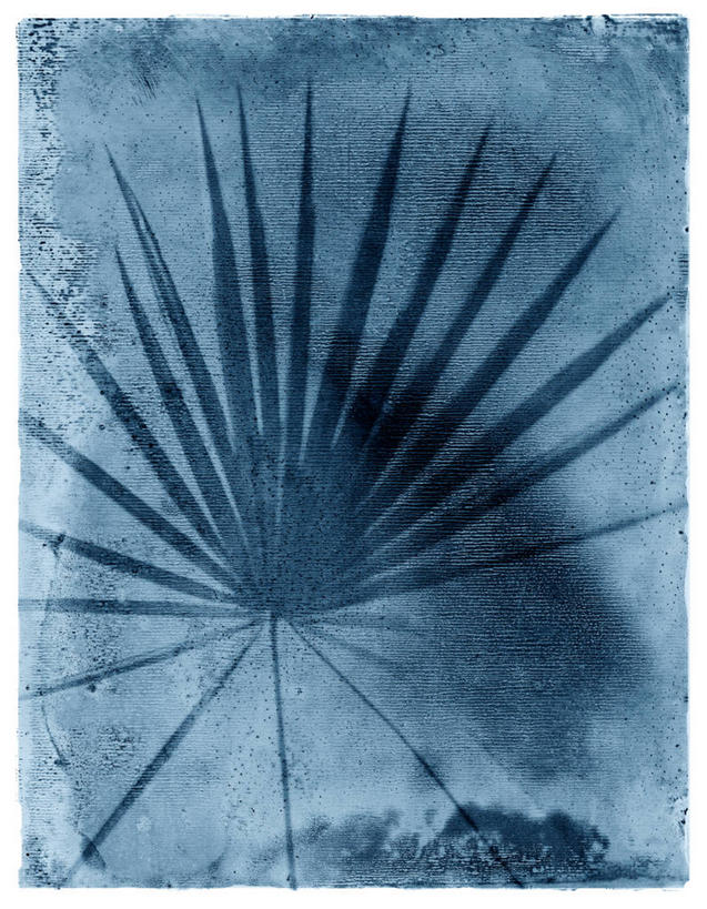 无人,竖图,插画,阶调图片,绘画,数码,科技,棕榈树,叶子,相框,阴影,艺术,网络,高光,几何,计算机图形,合成,图画,画,蓝色,自然,颜料,宁静,美术,电脑合成图,数码合成图,脆弱,合成图,漫画,想象,写实,具体,具象,美洲蒲葵,彩图