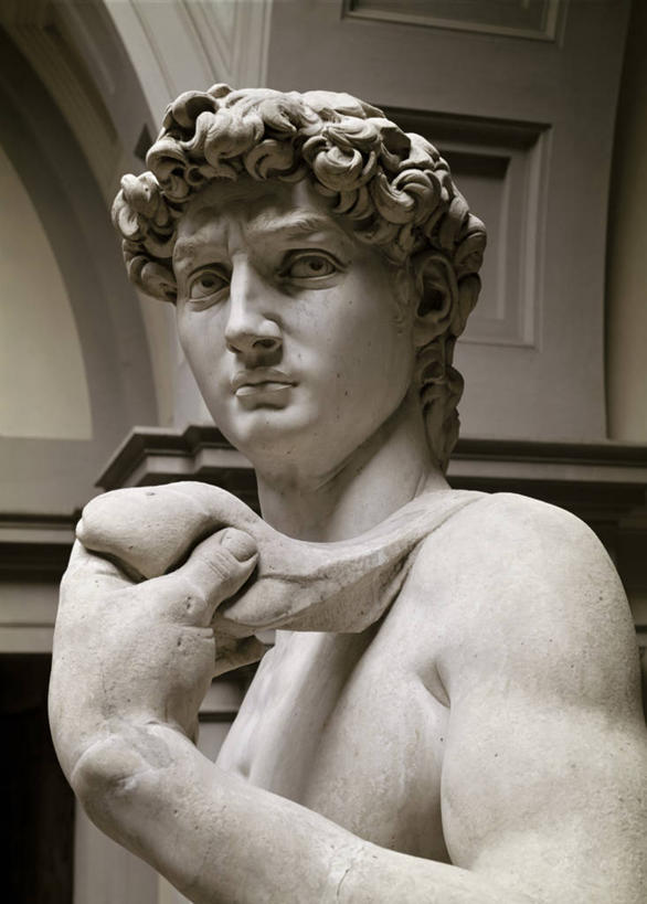 脸,头,脸颊,无人,竖图,插画,室内,特写,数码,科技,雕塑,阴影,艺术,装饰,网络,标志,雕刻,雕像,符号,大理石,高光,几何,计算机图形,文艺复兴,合成,图画,标识,肩膀,画,工艺品,纪念,部分,美术,电脑合成图,数码合成图,国王,合成图,主题,漫画,陈列,意大利文化,大卫,写实,具体,具象,功能,美学,性别符号,以色列国王,大卫王,头部,脸部,脸蛋,面部,彩图,男性符号