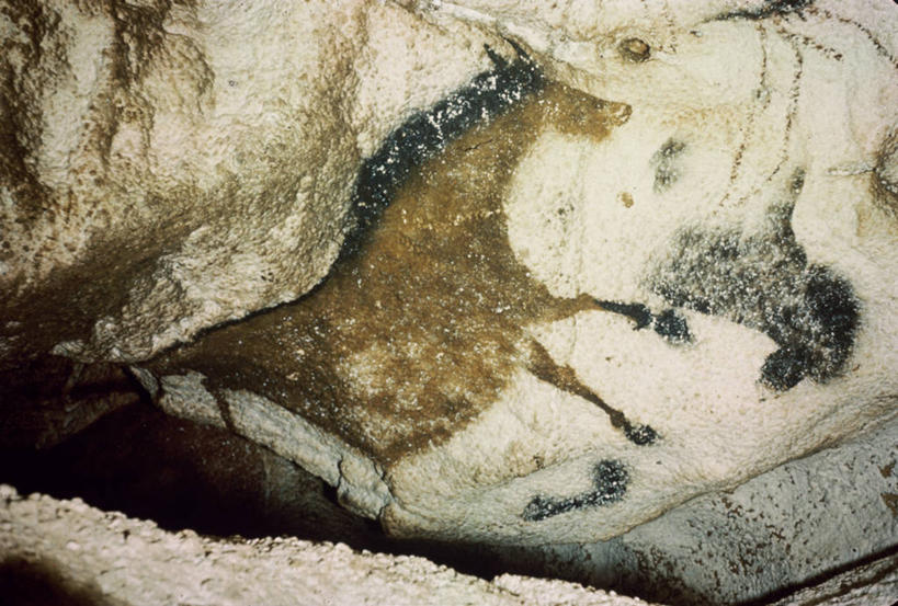 无人,横图,插画,绘画,数码,科技,马,法国,阴影,艺术,装饰,网络,墙,高光,几何,计算机图形,合成,图画,文化,壁画,墙壁,墙面,画,动物,两只,家畜,洞穴,华丽,修饰,点缀,考古学,电脑合成图,数码合成图,合成图,漫画,写实,具体,具象,衬托,美观,雅致,雅观,古代文明,拉斯科洞窟,画画,彩图,过去