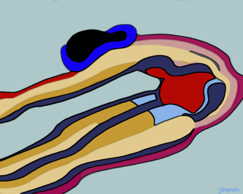 成年人,一个人,跳,横图,插画,侧面,锻炼,运动,数码,科技,仅一个女性,表演,伸展,弯腰,阴影,网络,高光,几何,计算机图形,合成,图画,画,扮演,活力,平衡,生活方式,有氧运动,电脑合成图,数码合成图,演出,练习,敏捷,合成图,漫画,弹性,计算机制图,写实,具体,具象,技能,体育,彩图,健身,杂技演员