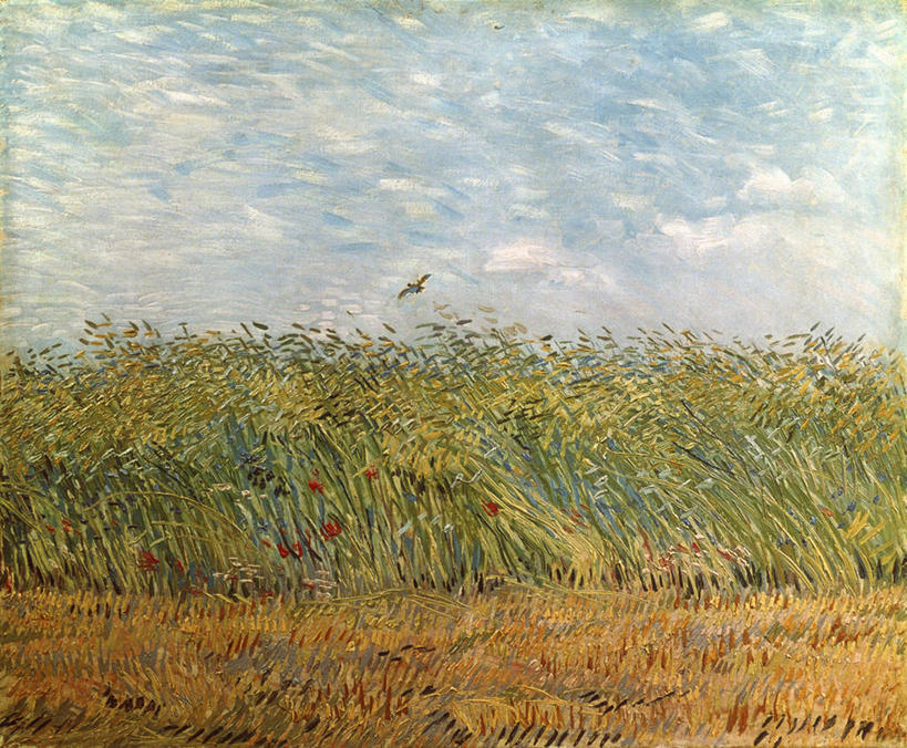 无人,农场,横图,插画,室外,白天,绘画,农业,农作物,小麦,数码,科技,美景,风,油画,阴影,艺术,网络,鸟类,地形,景观,田地,云,谷类,高光,几何,计算机图形,古典,合成,图画,文化,画,草,花,风景,天空,自然,工艺品,品味,景色,宁静,美术,电脑合成图,数码合成图,高雅,合成图,自然风光,漫画,写实,具体,具象,美学,百灵鸟,梵高,彩图