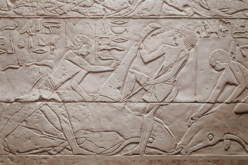 无人,横图,插画,数码,科技,阴影,艺术,网络,捕食,高光,几何,计算机图形,合成,图画,画,死亡,电脑合成图,数码合成图,合成图,手艺,漫画,写实,具体,具象,母牛,屠夫,古埃及文明,古代文明,屠宰场,美术工艺,彩图,浅浮雕