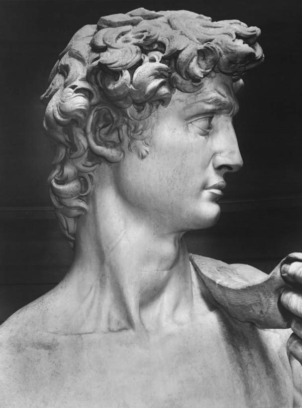 脸,头,脸颊,无人,竖图,黑白,插画,室内,特写,侧面,数码,科技,雕塑,阴影,黑色背景,网络,标志,雕像,符号,大理石,高光,几何,计算机图形,文艺复兴,合成,图画,拿着,历史,标识,肩膀,画,电脑合成图,数码合成图,国王,合成图,漫画,大卫,写实,具体,具象,性别符号,美术工艺,以色列国王,大卫王,头部,卷发,脸部,脸蛋,面部,男性符号,过去