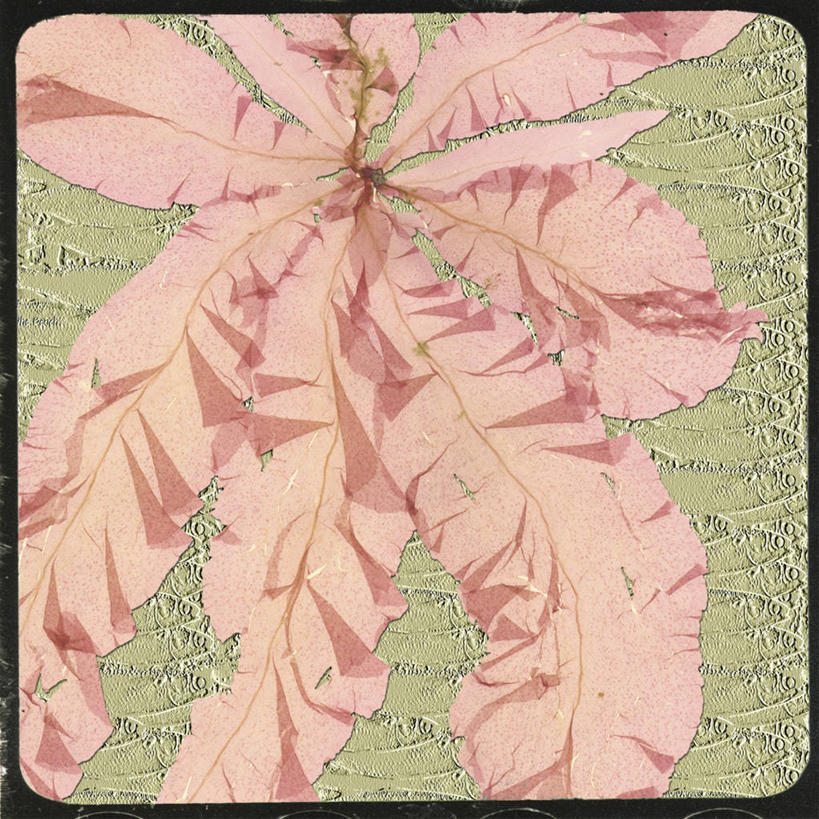 无人,方图,插画,抽象,蒙太奇,数码,科技,阴影,花纹,网络,高光,几何,计算机图形,合成,图画,数码合成,画,电脑合成图,数码合成图,合成图,漫画,计算机制图,写实,具体,具象,想法,彩图